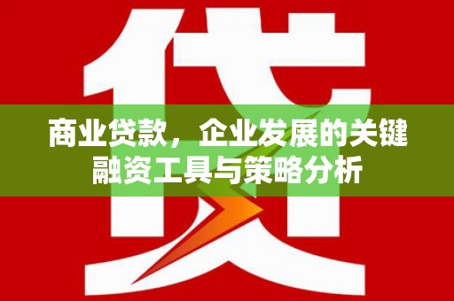 番路商业贷款，企业发展的关键融资工具与策略分析
