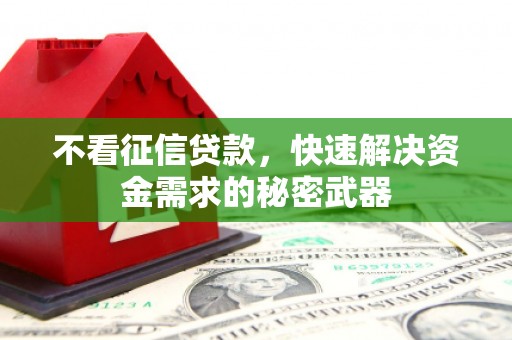 番路不看征信贷款，快速解决资金需求的秘密武器