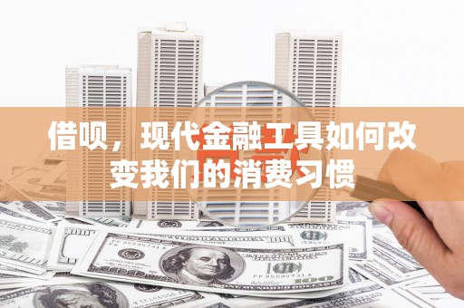 番路借呗，现代金融工具如何改变我们的消费习惯