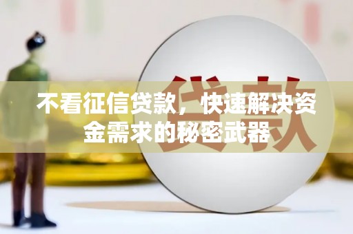 番路不看征信贷款，快速解决资金需求的秘密武器