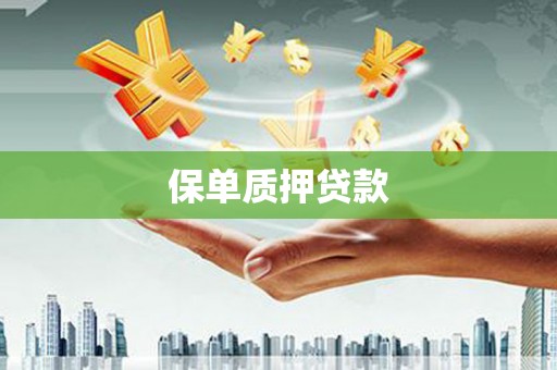 番路保单质押贷款