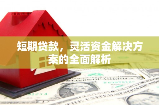 番路短期贷款，灵活资金解决方案的全面解析