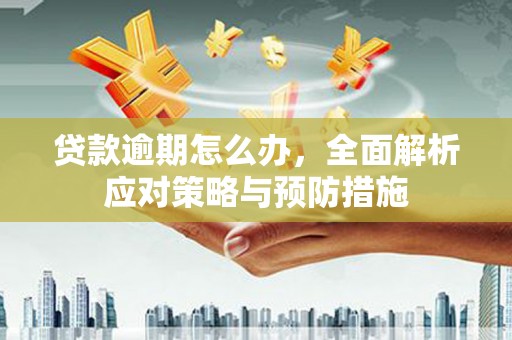 番路贷款逾期怎么办，全面解析应对策略与预防措施