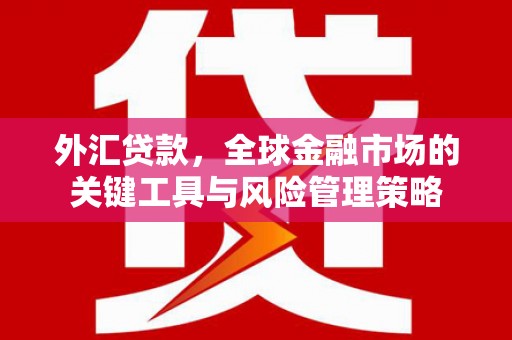 番路外汇贷款，全球金融市场的关键工具与风险管理策略