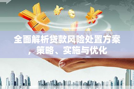 番路全面解析贷款风险处置方案，策略、实施与优化