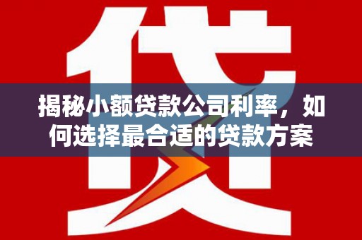 番路揭秘小额贷款公司利率，如何选择最合适的贷款方案