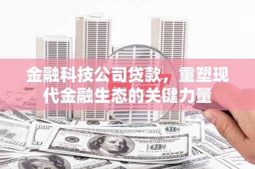 番路金融科技公司贷款，重塑现代金融生态的关键力量