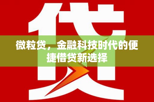 番路微粒贷，金融科技时代的便捷借贷新选择