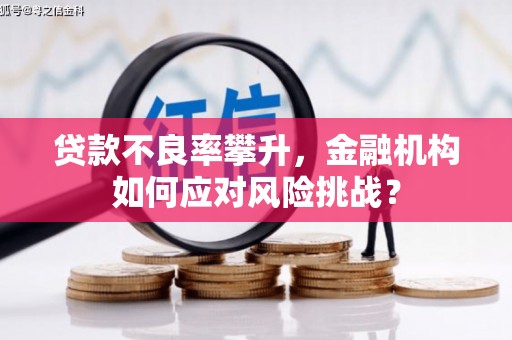 番路贷款不良率攀升，金融机构如何应对风险挑战？