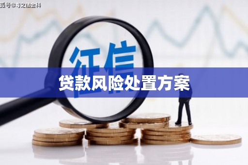 番路贷款风险处置方案