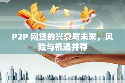 番路P2P 网贷的兴衰与未来，风险与机遇并存