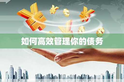 番路如何高效管理你的债务