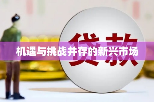 番路机遇与挑战并存的新兴市场