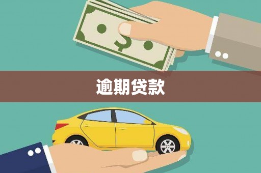 番路逾期贷款